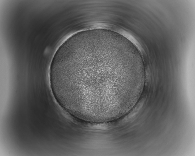 X0000098111047200804111051