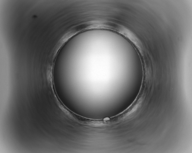 X0000098111049200804111051