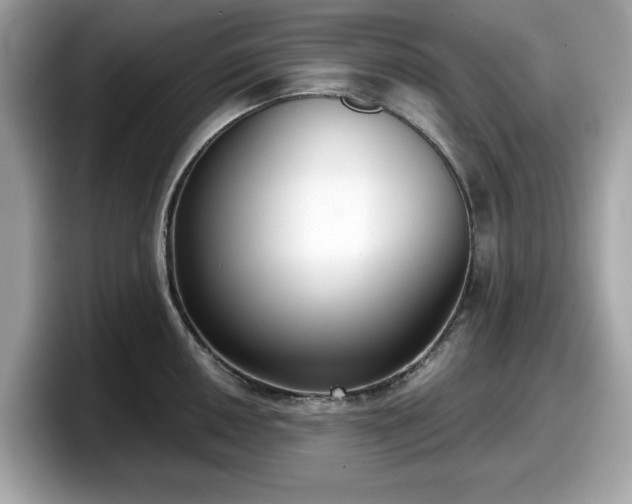 X0000098111050200804111051