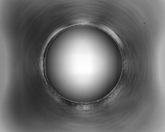 X0000098111051200804111051