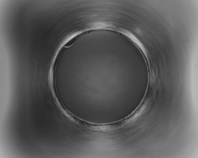 X0000098111053200804111051