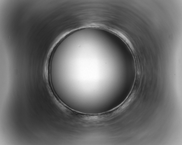 X0000098111054200804111051