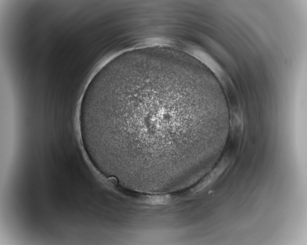 X0000098111055200804111051