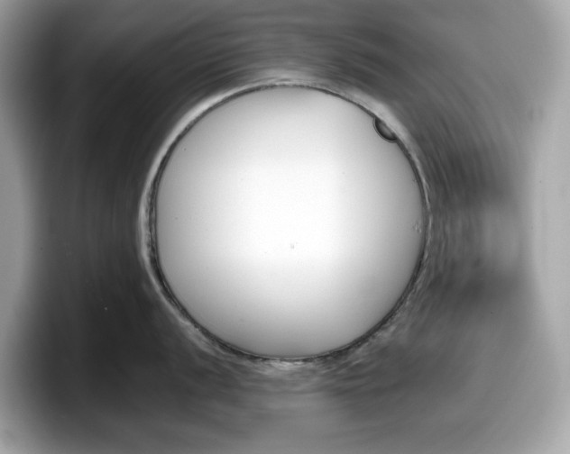 X0000098111056200804111051