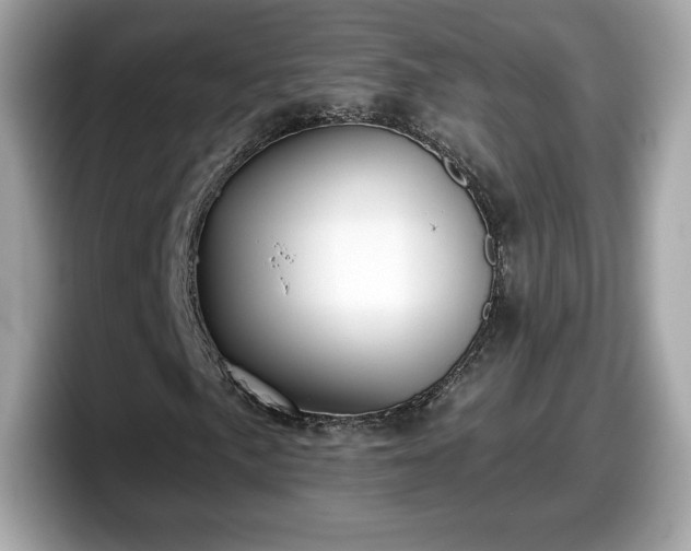 X0000098111057200804111051