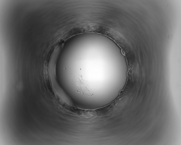 X0000098111058200804111051