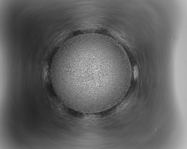 X0000098111059200804111051