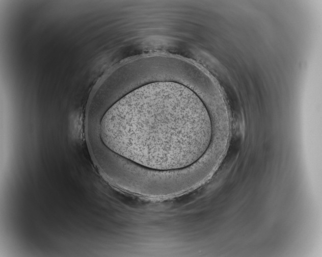 X0000098111060200804111051