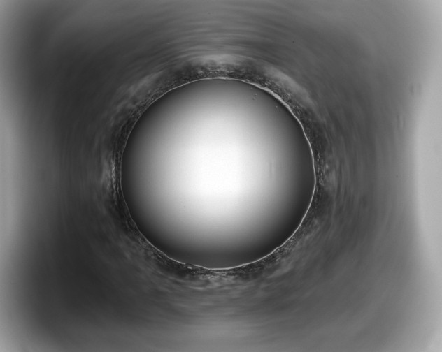 X0000098111061200804111051