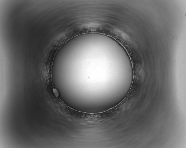 X0000098111062200804111051