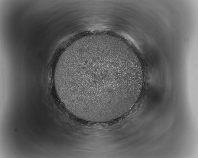 X0000098111063200804111051