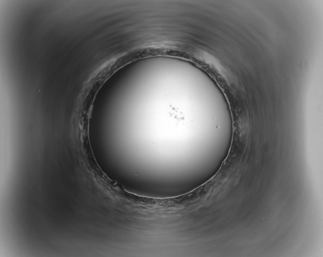 X0000098111064200804111051