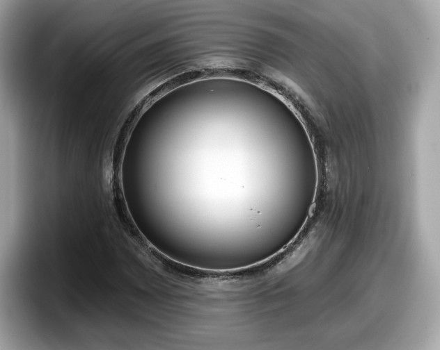 X0000098111065200804111051