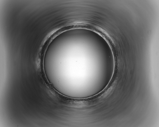 X0000098111066200804111050