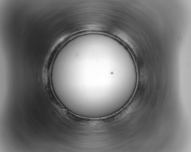 X0000098111067200804111050
