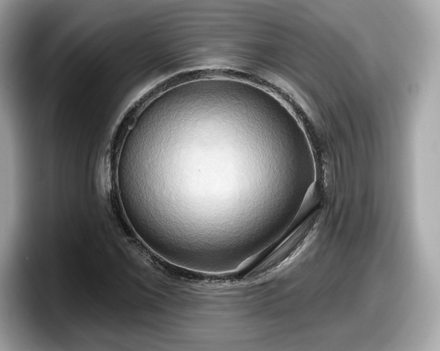 X0000098111069200804111050