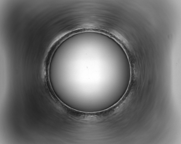 X0000098111070200804111050