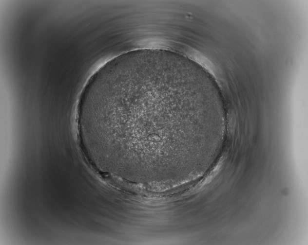 X0000098111071200804111050