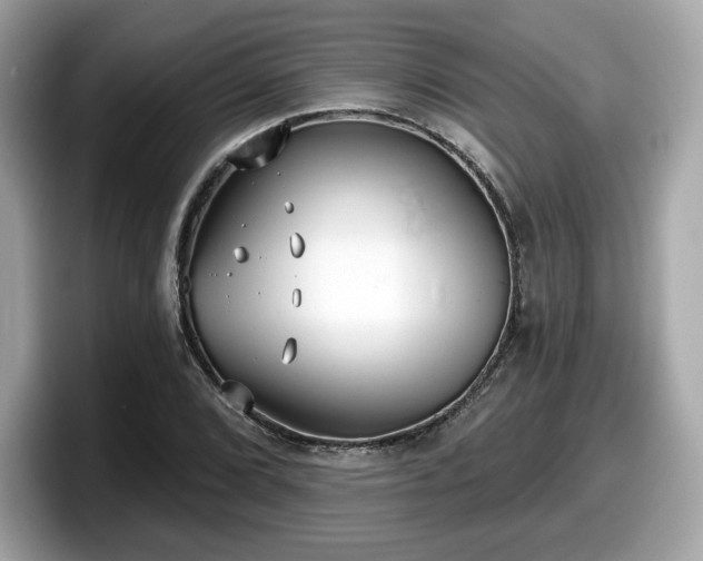 X0000098111072200804111050