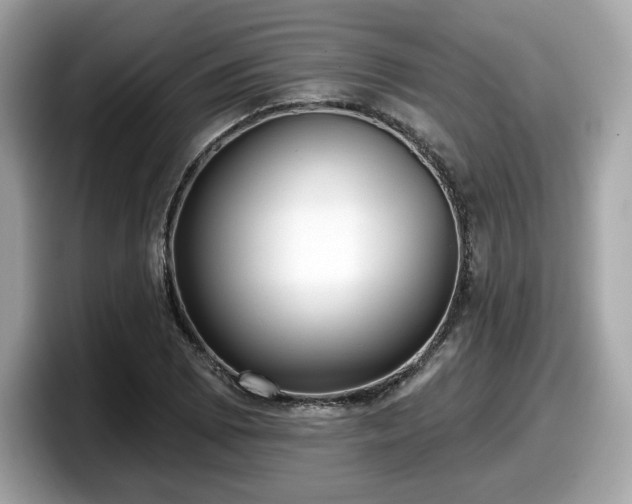 X0000098111073200804111050