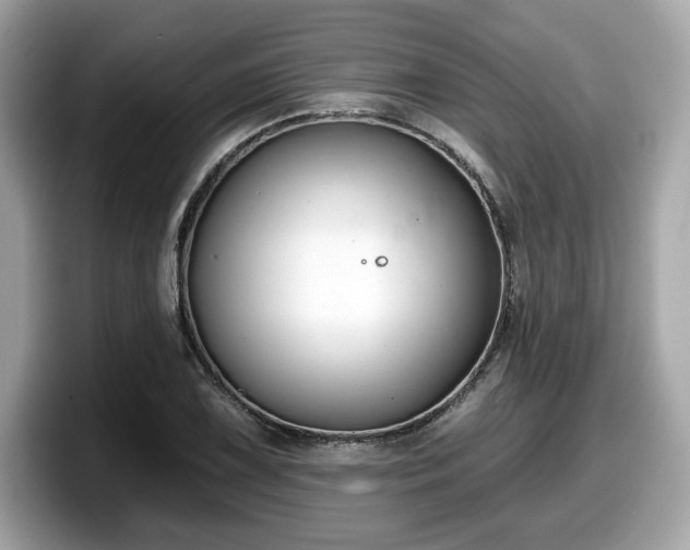 X0000098111075200804111050
