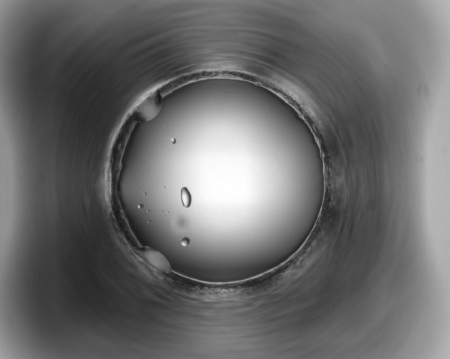 X0000098111076200804111050