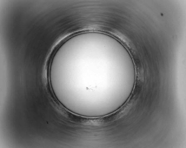 X0000098111078200804111050