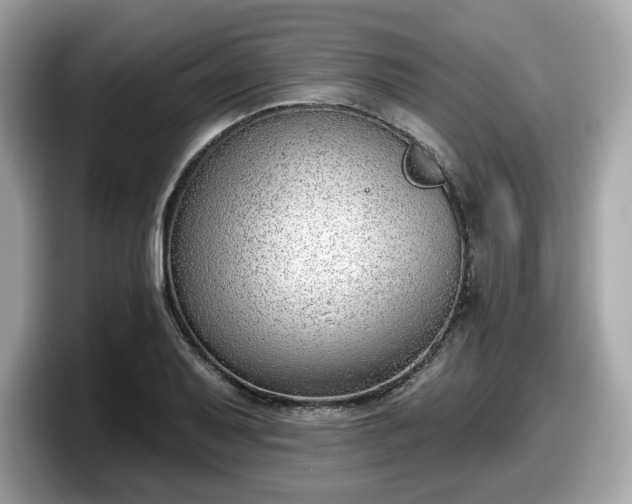 X0000098111079200804111050