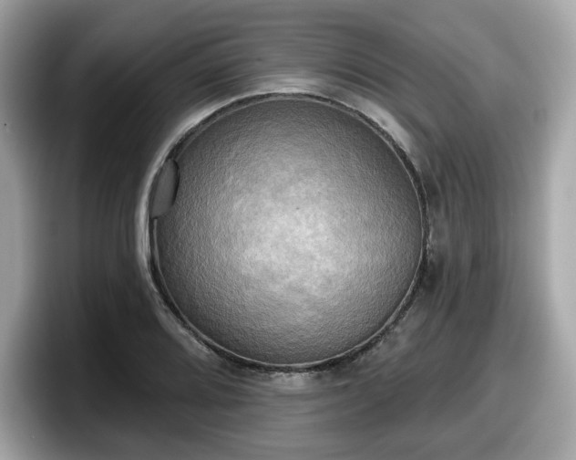 X0000098111080200804111050