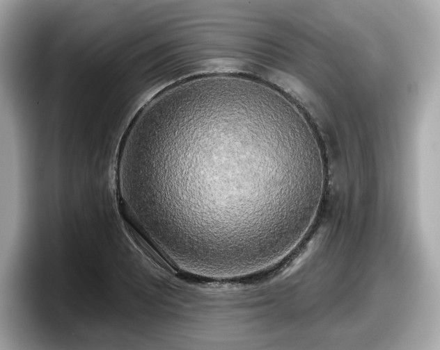 X0000098111081200804111050