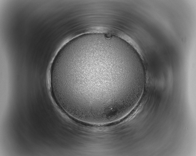 X0000098111083200804111050