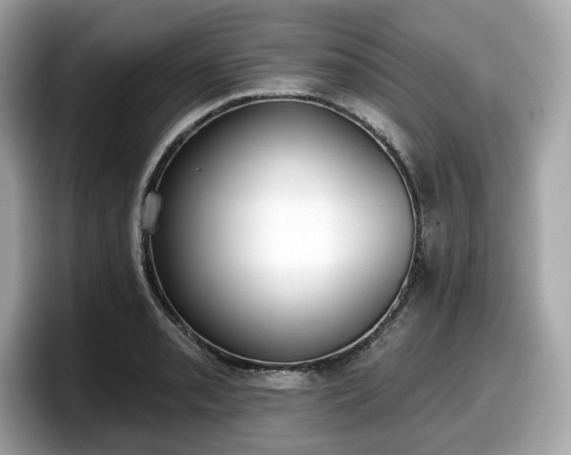 X0000098111085200804111050