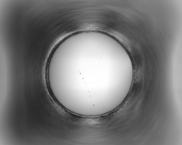 X0000098111086200804111050