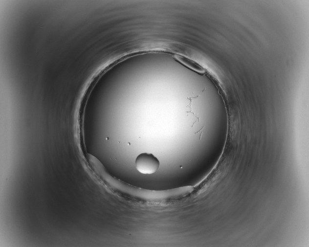 X0000098111088200804111050