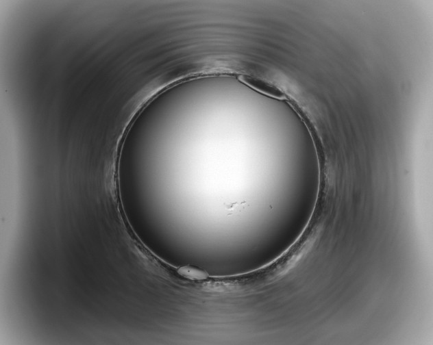 X0000098111089200804111050