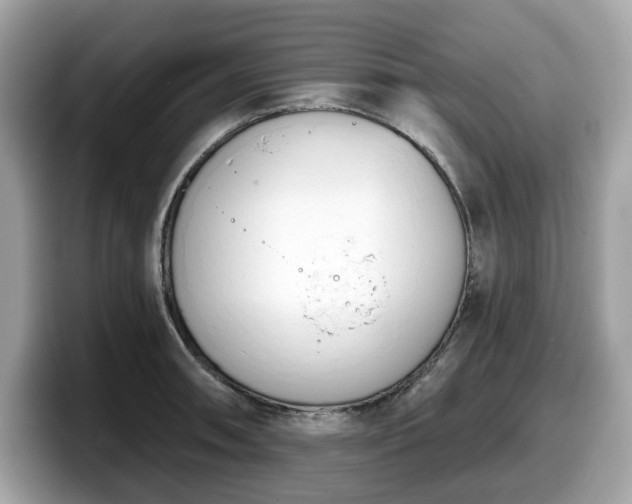 X0000098111090200804111050