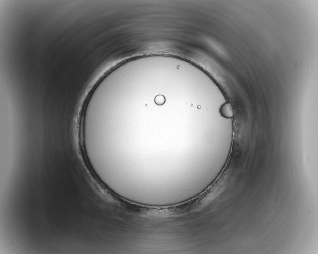 X0000098111094200804111050
