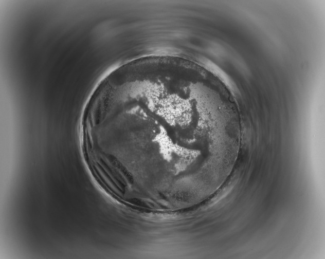 X0000098111095200804111050