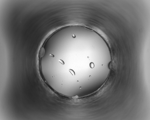 X0000098111096200804111050