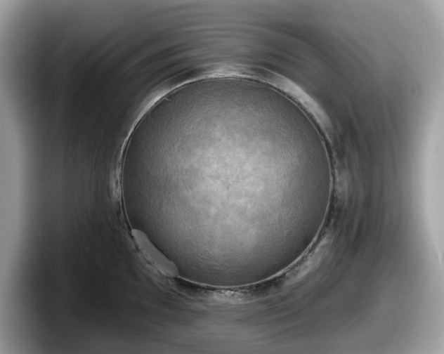 X0000098111097200804111050