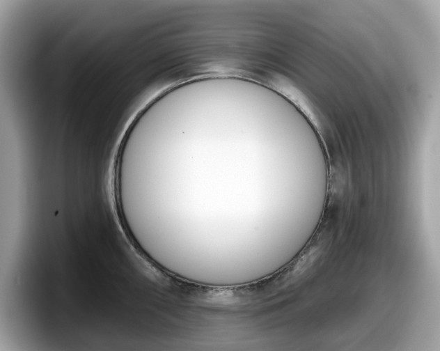 X0000098111098200804111050
