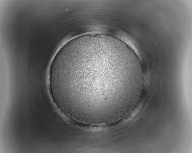 X0000098111099200804111050