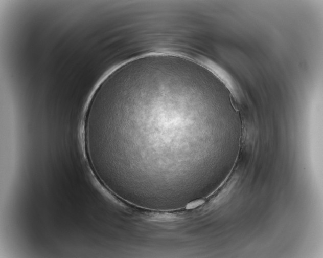 X0000098111100200804111050