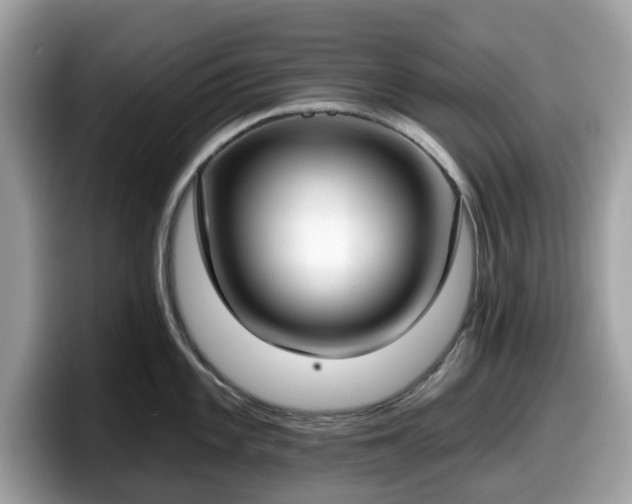 X0000098111101200804111050