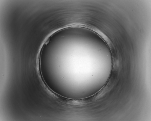 X0000098111102200804111050