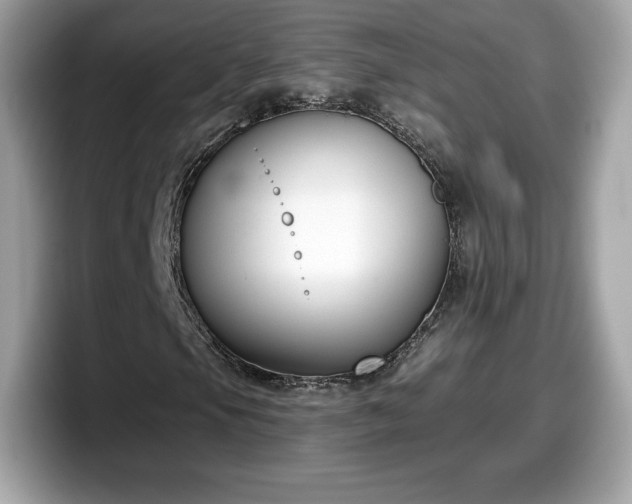 X0000098111105200804111049