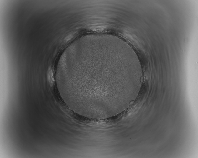 X0000098111106200804111049