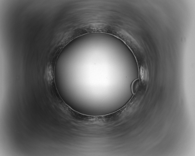 X0000098111107200804111049