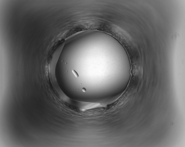 X0000098111108200804111049