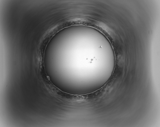 X0000098111111200804111049
